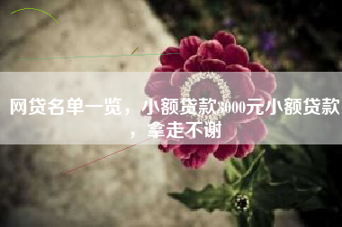 网贷名单一览，小额贷款3000元小额贷款，拿走不谢