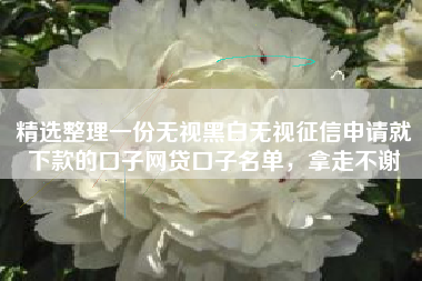 精选整理一份无视黑白无视征信申请就下款的口子网贷口子名单，拿走不谢