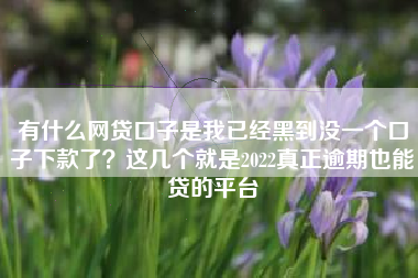 有什么网贷口子是我已经黑到没一个口子下款了？这几个就是2022真正逾期也能贷的平台