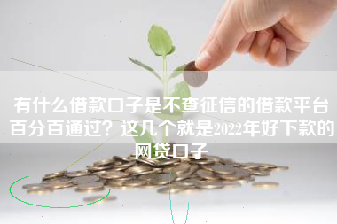 有什么借款口子是不查征信的借款平台百分百通过？这几个就是2022年好下款的网贷口子