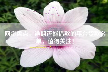 网贷盘点，逾期还能借款的平台贷款名单，值得关注！