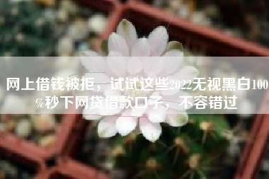 网上借钱被拒，试试这些2022无视黑白100%秒下网贷借款口子，不容错过