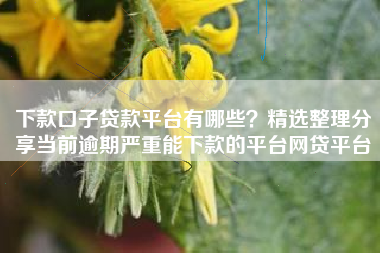 下款口子贷款平台有哪些？精选整理分享当前逾期严重能下款的平台网贷平台