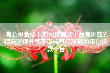 有公积金必下的网贷借款平台有哪些？精选整理分享不审核直接放款的平台贷款平台