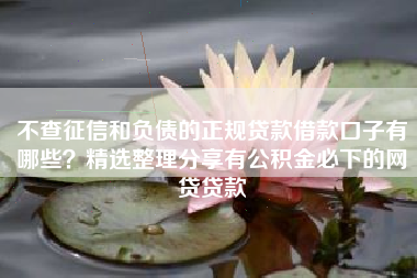 不查征信和负债的正规贷款借款口子有哪些？精选整理分享有公积金必下的网贷贷款