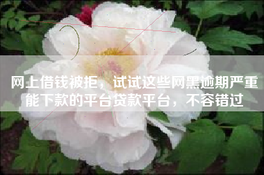 网上借钱被拒，试试这些网黑逾期严重能下款的平台贷款平台，不容错过