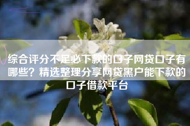 综合评分不足必下款的口子网贷口子有哪些？精选整理分享网贷黑户能下款的口子借款平台