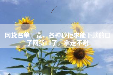 网贷名单一览，各种秒拒求能下款的口子网贷口子，拿走不谢