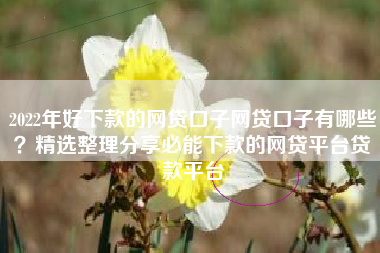 2022年好下款的网贷口子网贷口子有哪些？精选整理分享必能下款的网贷平台贷款平台
