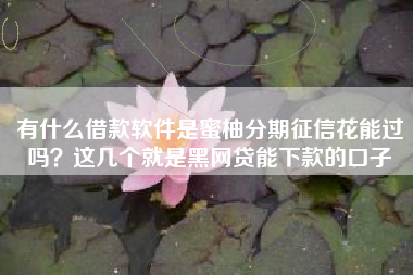 有什么借款软件是蜜柚分期征信花能过吗？这几个就是黑网贷能下款的口子