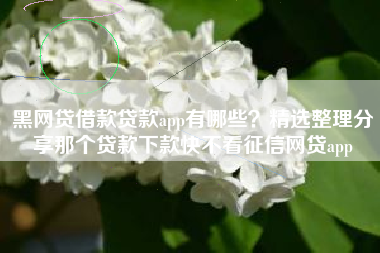 黑网贷借款贷款app有哪些？精选整理分享那个贷款下款快不看征信网贷app