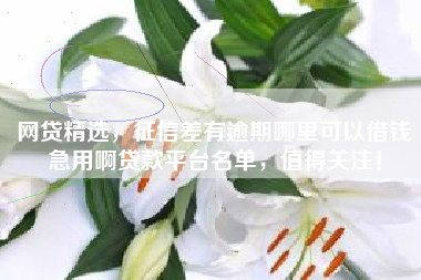 网贷精选，征信差有逾期哪里可以借钱急用啊贷款平台名单，值得关注！