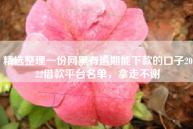 精选整理一份网黑有逾期能下款的口子2022借款平台名单，拿走不谢
