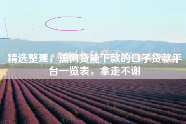 精选整理，黑网贷能下款的口子贷款平台一览表，拿走不谢