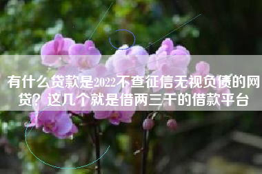 有什么贷款是2022不查征信无视负债的网贷？这几个就是借两三千的借款平台