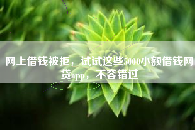 网上借钱被拒，试试这些5000小额借钱网贷app，不容错过