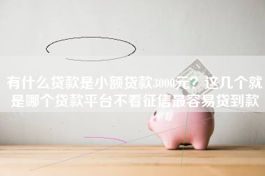 有什么贷款是小额贷款3000元？这几个就是哪个贷款平台不看征信最容易贷到款