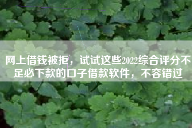 网上借钱被拒，试试这些2022综合评分不足必下款的口子借款软件，不容错过