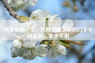 网贷名单一览，黑网贷能下款的口子小额贷款，拿走不谢
