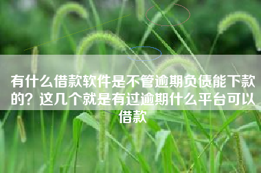 有什么借款软件是不管逾期负债能下款的？这几个就是有过逾期什么平台可以借款