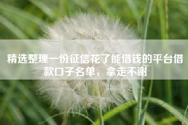 精选整理一份征信花了能借钱的平台借款口子名单，拿走不谢