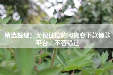 精选整理！无视征信的网贷必下款借款平台，不容错过