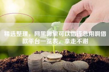 精选整理，网黑哪里可以借钱急用啊借款平台一览表，拿走不谢
