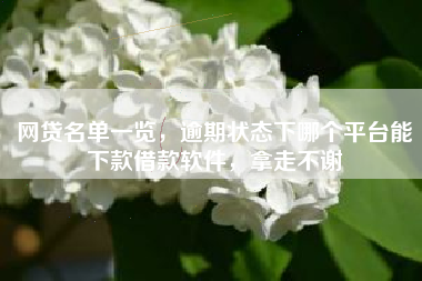 网贷名单一览，逾期状态下哪个平台能下款借款软件，拿走不谢
