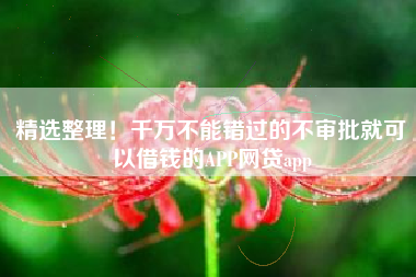 精选整理！千万不能错过的不审批就可以借钱的APP网贷app