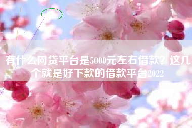 有什么网贷平台是5000元左右借款？这几个就是好下款的借款平台2022