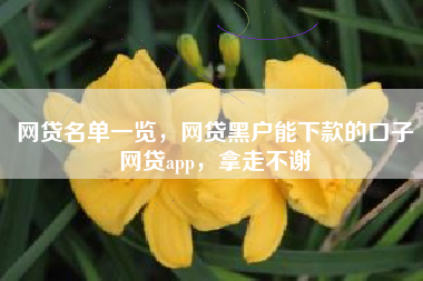 网贷名单一览，网贷黑户能下款的口子网贷app，拿走不谢