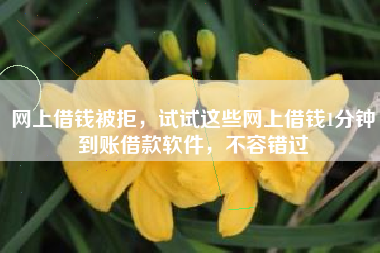 网上借钱被拒，试试这些网上借钱1分钟到账借款软件，不容错过