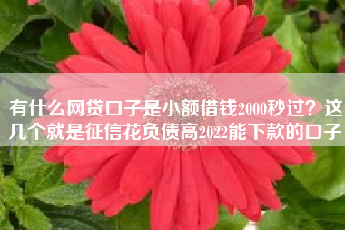 有什么网贷口子是小额借钱2000秒过？这几个就是征信花负债高2022能下款的口子