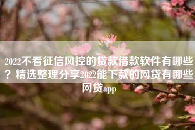2022不看征信风控的贷款借款软件有哪些？精选整理分享2022能下款的网贷有哪些网贷app