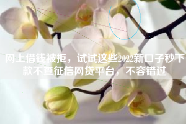 网上借钱被拒，试试这些2022新口子秒下款不查征信网贷平台，不容错过