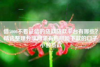 借5000不看征信的贷款贷款平台有哪些？精选整理分享网黑有逾期能下款的口子小额贷款