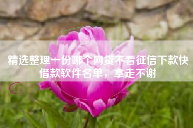 精选整理一份哪个网贷不看征信下款快借款软件名单，拿走不谢