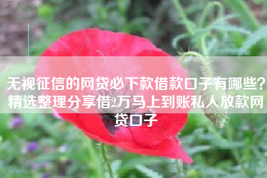 无视征信的网贷必下款借款口子有哪些？精选整理分享借2万马上到账私人放款网贷口子