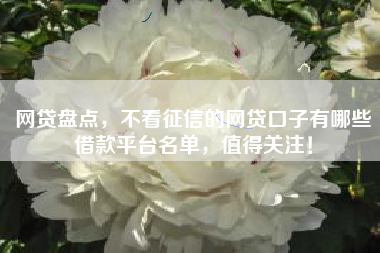 网贷盘点，不看征信的网贷口子有哪些借款平台名单，值得关注！