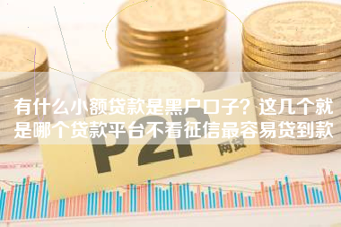 有什么小额贷款是黑户口子？这几个就是哪个贷款平台不看征信最容易贷到款