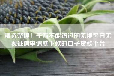 精选整理！千万不能错过的无视黑白无视征信申请就下款的口子贷款平台