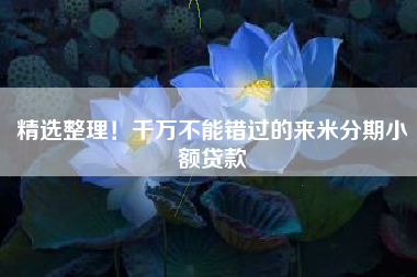 精选整理！千万不能错过的来米分期小额贷款
