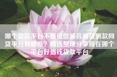 哪个贷款平台不看征信最容易贷到款网贷平台有哪些？精选整理分享现在哪个平台好借钱贷款平台