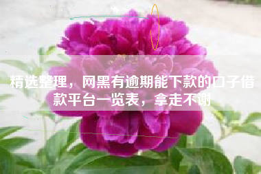 精选整理，网黑有逾期能下款的口子借款平台一览表，拿走不谢