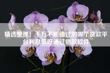 精选整理！千万不能错过的哪个贷款平台利息低好通过借款软件