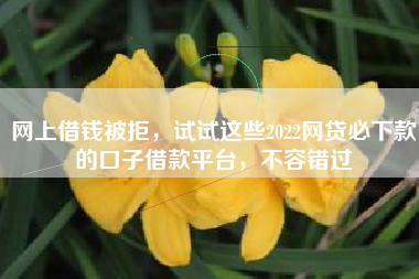 网上借钱被拒，试试这些2022网贷必下款的口子借款平台，不容错过