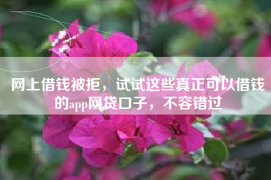 网上借钱被拒，试试这些真正可以借钱的app网贷口子，不容错过