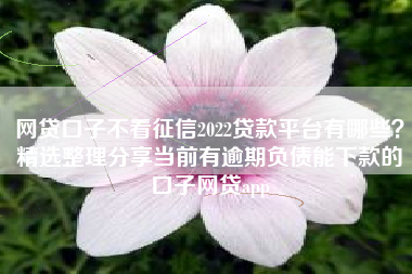 网贷口子不看征信2022贷款平台有哪些？精选整理分享当前有逾期负债能下款的口子网贷app