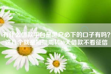 有什么借款平台是黑户必下的口子有吗？这几个就是短期周转30天借款不看征信