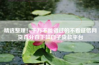 精选整理！千万不能错过的不看征信网贷百分百下款口子贷款平台
